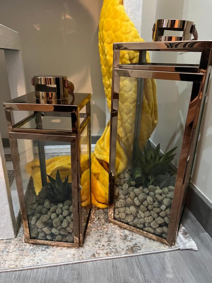 Casa Das Flores Ll باريديس دي كورا المظهر الخارجي الصورة