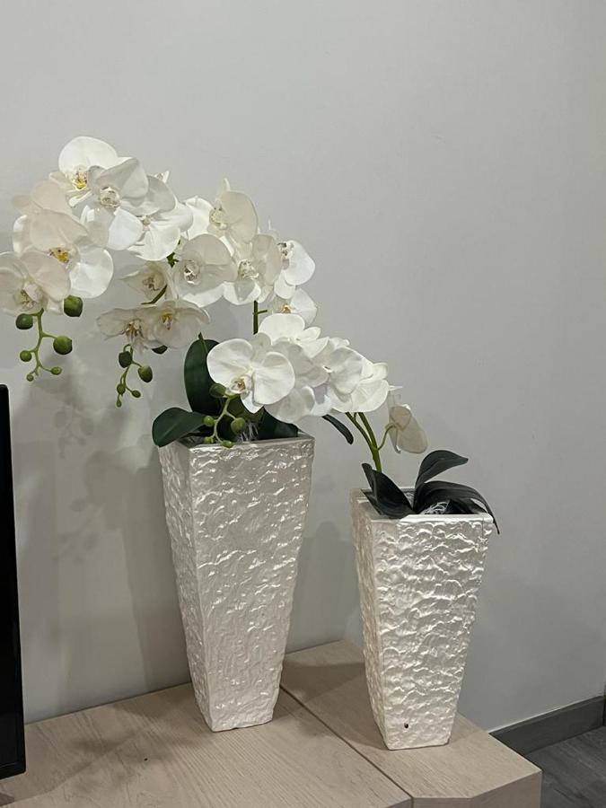 Casa Das Flores Ll باريديس دي كورا المظهر الخارجي الصورة